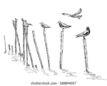seagull standing on the pole