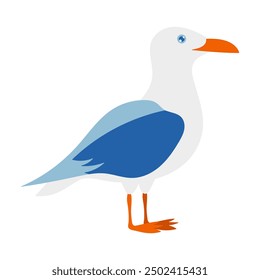 A seagull is standing on a white background. The bird is blue and white. The bird is looking to the right