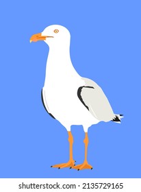 Ilustración vectorial de gaviota aislada en fondo azul. Pájaro marino y oceánico. Símbolo de forma de ave marina. Cazador de peces. Mascota de recuerdo para viajes turísticos.