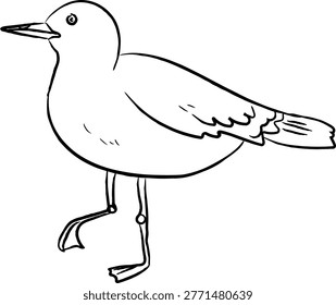 Seagull stepping forward in side view, clean contour lines, beak and wing detail in a hand-drawn sketch style. Symbol of coast life, wander, freedom, and travel. Cartoon vector illustration.