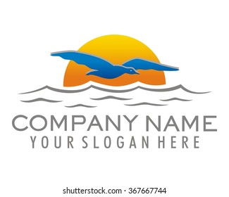 seagull sunset sea vector
