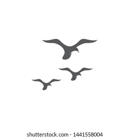seagull  symbol and icon Logo Template vector