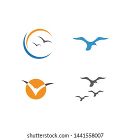seagull  symbol and icon Logo Template vector