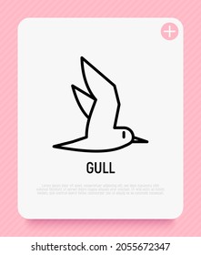 Seagull thin line icon. Modern vector illustration of bird.