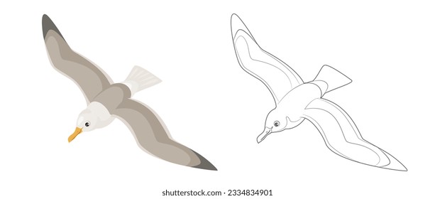 Seagull top view. Outline picture for coloring. Bird in flight isolated on a white background.  Soaring seabird silhouette. Vector simple icons.