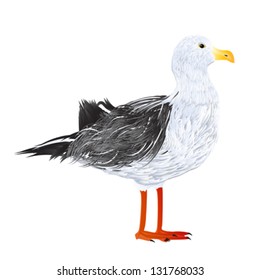 Seagull vector