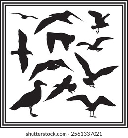 Seagull vector black silhouette set, big collection of seagull bird silhouette.