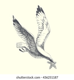 seagull. vector hand drawn illustration 
