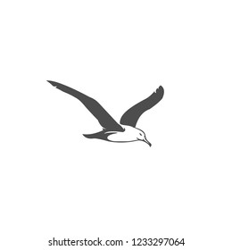 seagull vector illustration