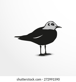 Seagull. Vector illustration. Animal collection.