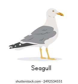 Seagull vector illustration, cartoon clipart character, animal in flat style. Wild animals, avian, birds concept. Common gull or seagull vector design isolated on white background