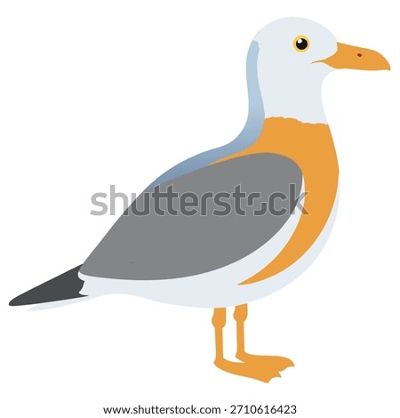 seagull vector on white bacground
