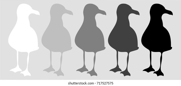 Seagull. Vector set of silhouettes. White, light gray, gray, dark gray, black. Contour seagull.