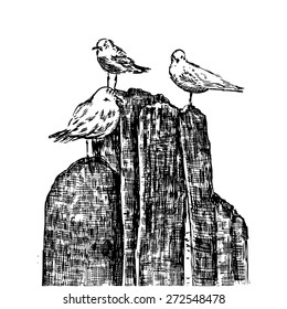 Seagull vector sketch isolated on white background, Hand drawn illustration, vintage engraving style, layout for touristic postcard, poster, calendar template, page idea, design package, advertising