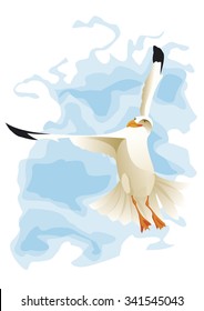 seagull wing in sky