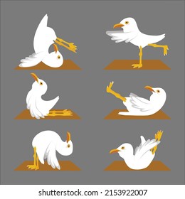 Carácter de animación de gaviota, camiseta, logotipo e iconos, arte vectorial