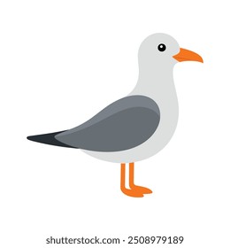 Seagull-on-white-background, this is a editable file.