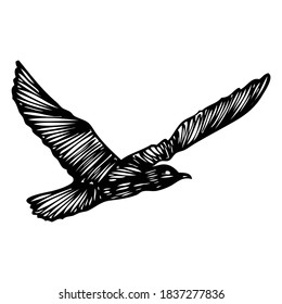 Seagulls bird, nautical sailor tattoo sketch. Black stroke of flying sea gull silhouette on white background. Marine drawings shape of water bird in vector.