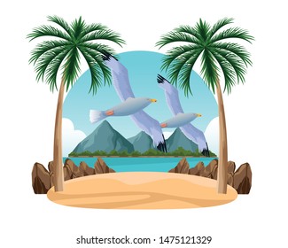 Seagulls birds flying cartoon in the beach scenery background ,vector illustration graphic design.