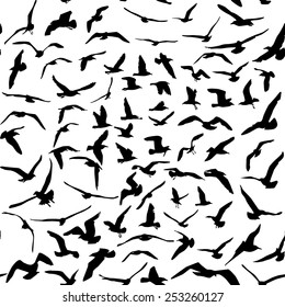 Seagulls black silhouette on white background. Seamless pattern. Vector