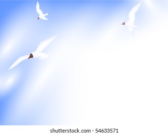 seagulls in the blue sky