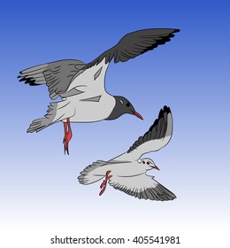 Seagulls circling in the sky