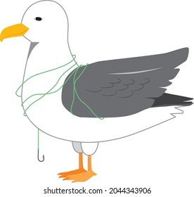 Seagulls with entangled fishing line