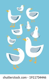 Seagulls, flat vector illustration set, Cute simple pattern with childish stylized nautical seafowl. Sticker collection, Doodle. Modern, Isolated white birds with grey wings on a light blue background