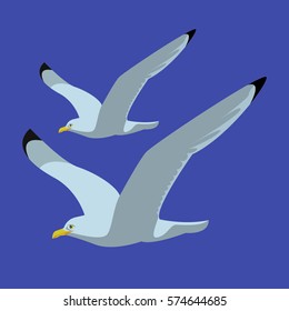 Seagulls in flight