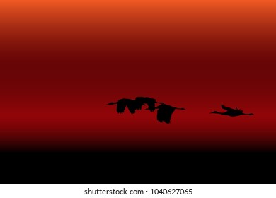 seagulls fly back to home, sunset background
