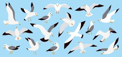 Seagulls Flying In Blue Sky, Cartoon Atlantic Seabird. Sea, Ocean, Gull, Bird Set In A Vector Flat Style. Big Oceangull Pack Isolated On Sky Background
