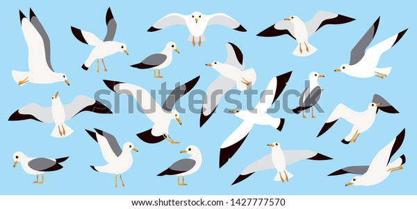 Seagulls flying in blue sky, cartoon atlantic\
seabird. Sea, Ocean, Gull, bird set in a vector flat style. Big\
oceangull pack isolated on sky\
background
