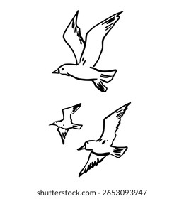 Seagulls flying Hand drawn line art sketch doodle fisherman aesthetic coastal nautical illustration 
