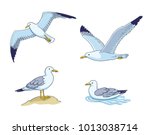 Seagulls - flying, sitting and swimming. Vector illustration. EPS8