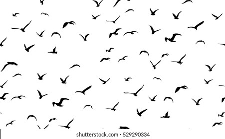 Seagulls flying in the sky, seamless vector pattern.