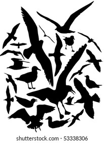 Seagulls flying, standing and sitting, set of twenty five, black vector silhouettes on white background