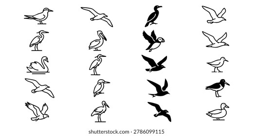 Seagulls flying and standing in various poses outdoors in nature, Waterfowl illustrations showcase various ducks in different poses and flying. A collection of various birds in different poses and flying positions on a plain background.
