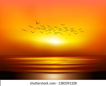 seagulls flying in sunset at beach 