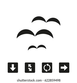 seagulls icon