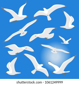 Seagulls isolated on blue background. Vector illustration. Eps 10
