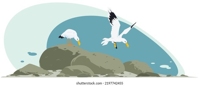 Seagulls on rocks near ocean. Seabirds. Coastal fauna. Cartoon birds on stone. Illustration concept template for website, web landing page, banner, presentation, social, promotion or print media.