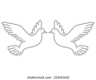 seagulls on white background