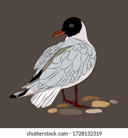 Gaviotas en la ilustración del vector de arena para su diseño