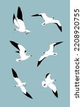 Seagulls set, Birds in sky flying, Seamless pattern