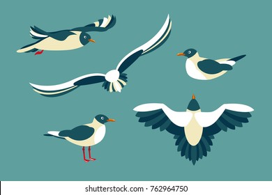The seagulls. Set of seabirds in the style of flat. Vector illustration.