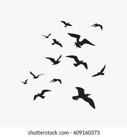 Seagulls silhouette.