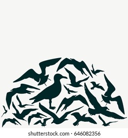 Seagulls silhouette.