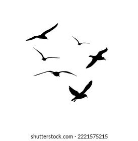 Seagulls silhouette. Flying seagulls. Vector illustration