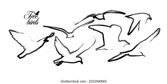 Seagulls silhouette. Flying seagulls. Vector illustration