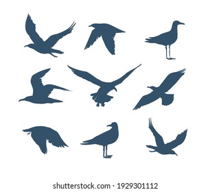 Seagulls silhouette . Hand drawn illustration converted to vector. 